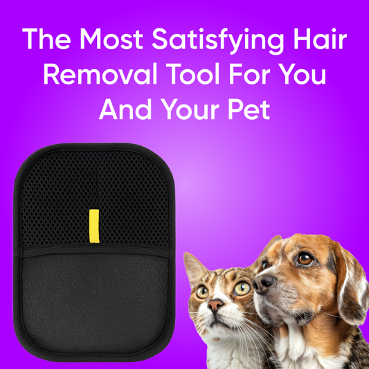 🐾 Novido™ #1 Best-Selling Grooming Glove for Pets