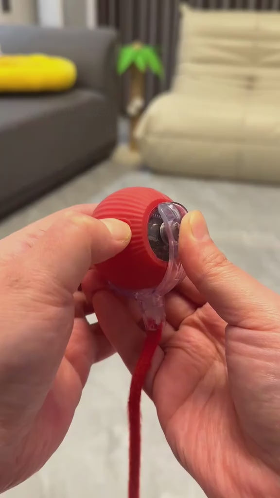 🐾 Novido™ Toy Ball - #1 Best Selling Pet Toy video