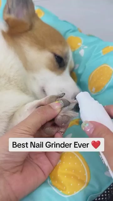 🐾 Novido™ Electric nail grinder - Stress-free nail trimming for pets video