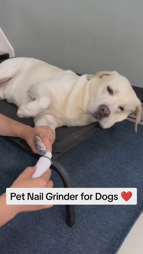 🐾 Novido™ Electric nail grinder - Stress-free nail trimming for pets video