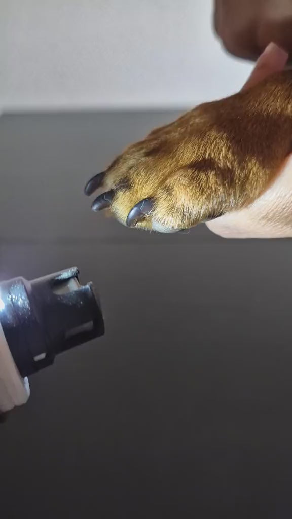 🐾 Novido™ Electric nail grinder - Stress-free nail trimming for pets video
