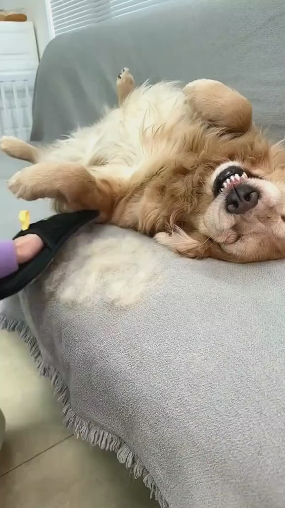 🐾 Novido™ #1 Best-Selling Grooming Glove for Pets video