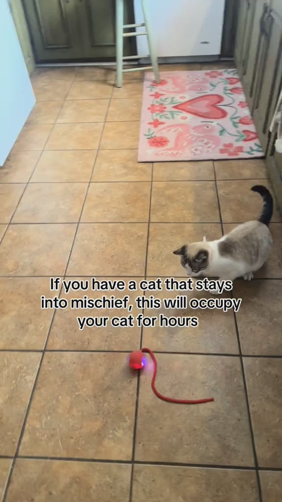 🐾 Novido™ Toy Ball - #1 Best Selling Pet Toy video